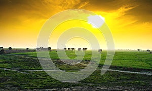 Spring sunset over green fields