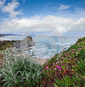 Spring sunset sea rocky coast landscape with small sandy beach and pink flowers in front