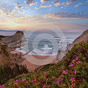 Spring sunset sea rocky coast landscape with small sandy beach and pink flowers in front (Arnia Beach, Spain, Atlantic Ocean