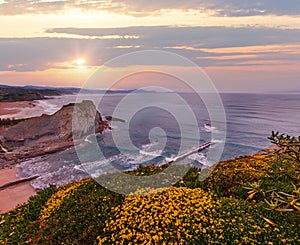 Spring sunset sea rocky coast landscape with small sandy beach and yellow flowers in front. Arnia Beach, Spain, Atlantic Ocean