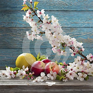 Spring Symphony. Vibrant Fruit Blooms on Wooden Canvas.