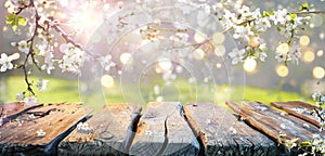 Spring Table - Cherry Flowers On Branches In Abstract Defocused Background