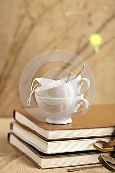 Spring tea breake, tea cups with diaries