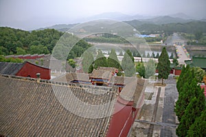 Spring Temple Buddha