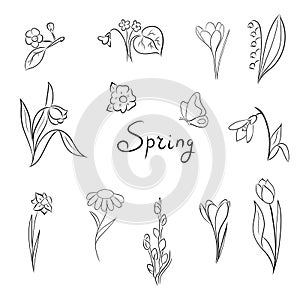 Spring text and flower collection in doodle style. Floral graphic elements drawn by hand vector botanical drawings