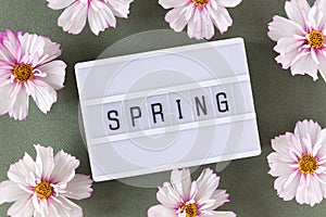 Spring text on light box and natural delicate pink flowers on green background. Top view Flat lay Minimal style. Concept Welcome