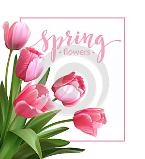 Spring text with tulip flower. Vector