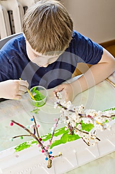 Boy making flowering apple tree garden layout.