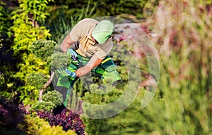 Spring Time Backyard Garden Maintenance Performed by Gardener