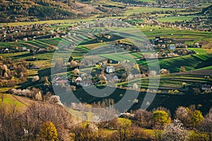 Spring time in beautiful agricultural landscape, green farm fields for animals and growing vegetables. Carpathian mountains,