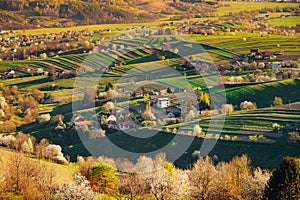 Spring time in beautiful agricultural landscape, green farm fields for animals and growing vegetables. Carpathian mountains,