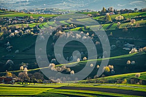 Spring time in beautiful agricultural landscape, green farm fields for animals and growing vegetables. Carpathian mountains,