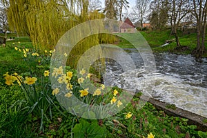 spring time at the berkel river in Vreden