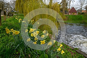 spring time at the berkel river in Vreden