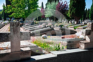 Spring time in the cemetery St Jose. Burgos