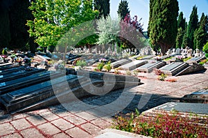 Spring time in the cemetery St Jose. Burgos