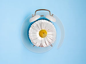 Spring Time Change flatlay. Summer back concept. Retro Vintage alarm Clock with chamomile flower on blue background