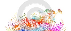 Spring time colorful silhouettes of grass and flowers. Abstract floral vector background