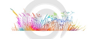 Spring time colorful silhouettes of grass and flowers. Abstract floral vector background