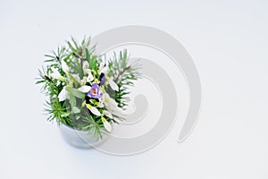 Spring time concept. Snowdrops in a glass isolated on white. Free space for your text.