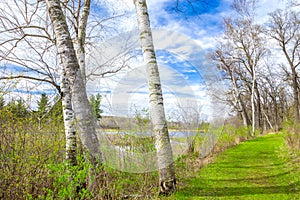 Spring Time at the Lake