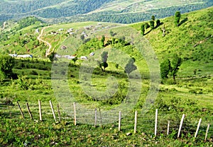 Spring time landscape of green highlands in northern Alborz mountains , Talysh area