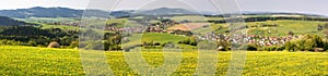 Spring time and meadow with common dandelion (taraxacum) - Carpathian mountain