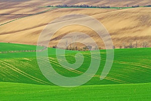 Spring time in Moravian Tuscany, South Moravian wine region photo