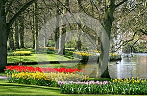 Jaro v parku 
