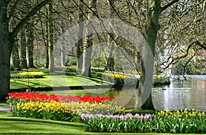 Spring time in park