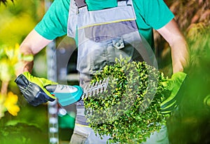 Spring Time Plants Trimming