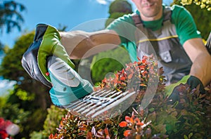 Spring Time Plants Trimming