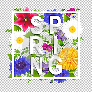 Spring Time Poster