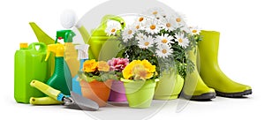 Spring time, pots colorful primroses and daisies, green boots and watering can. Gardening tools, trowel, spray bottles of