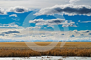 Spring time in the Prairies photo