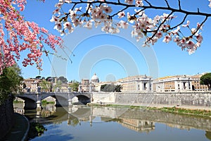 Spring time in Rome, Italy