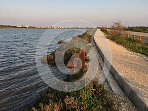 Spring time on salt lake. Larnaca, Cyprus