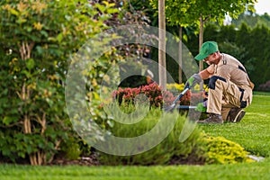 Spring Time Seasonal Garden Maintenance photo