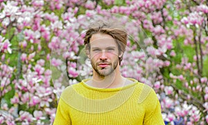 It is spring time. unshaven man magnolia tree. fresh blossom flower. sakura background. enjoy good weather. sexy guy