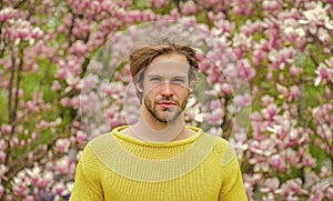 It is spring time. unshaven man magnolia tree. fresh blossom flower. sakura background. enjoy good weather. sexy guy