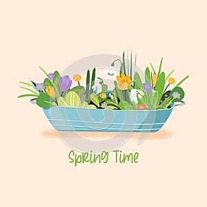 Spring time vector card with flowers and herbs in metal bucket. Garden flat style illustration. Fresh botany plants
