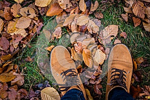 Spring to fall forest walk feet