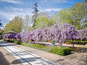 Spring in Toledo, Spain