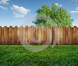 Spring tree in backyard and wooden fence