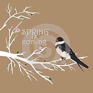 Spring tree with bird on it on coffee background