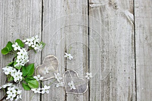 Spring tree blossoms and wood hearts border wooden fence