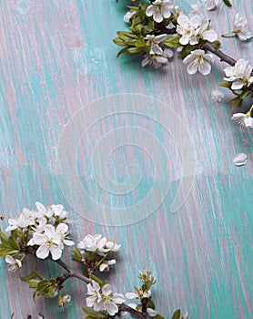 Spring tree Flowers on old vintage blue board background