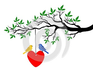 Spring tree with love birds vector illustartion