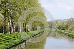 Spring trees along the Nivernais Canal, Burgundy