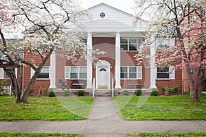 Spring Trees in Bloom in Front of a Large Brick Apartment Building